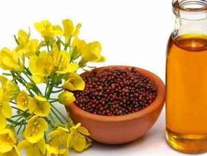 natural extracted edible oil