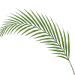 leaf small (1)